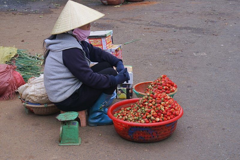 Người phụ nữ đội nón lá bán dâu tây trong thau bên đường ở Đà Lạt